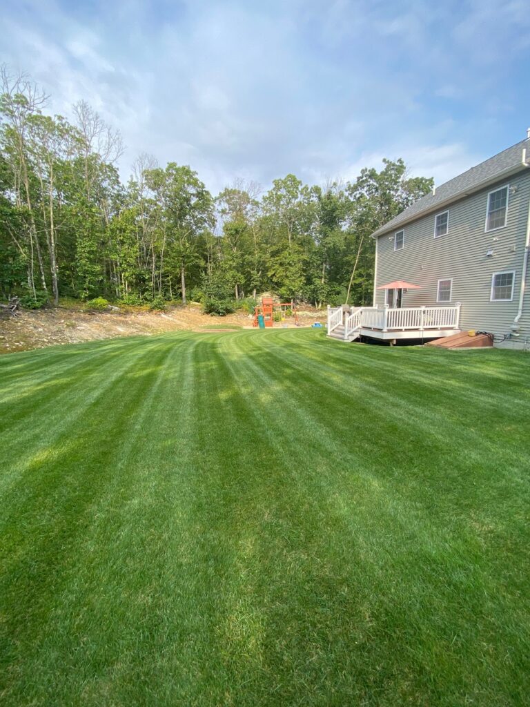 Gallery image - work by Dynamic Landscape in Johnston, RI