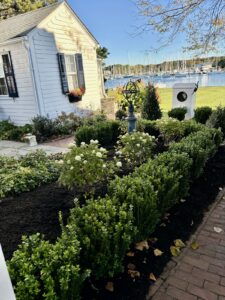 Work by Atlantic Lawn & Garden Inc