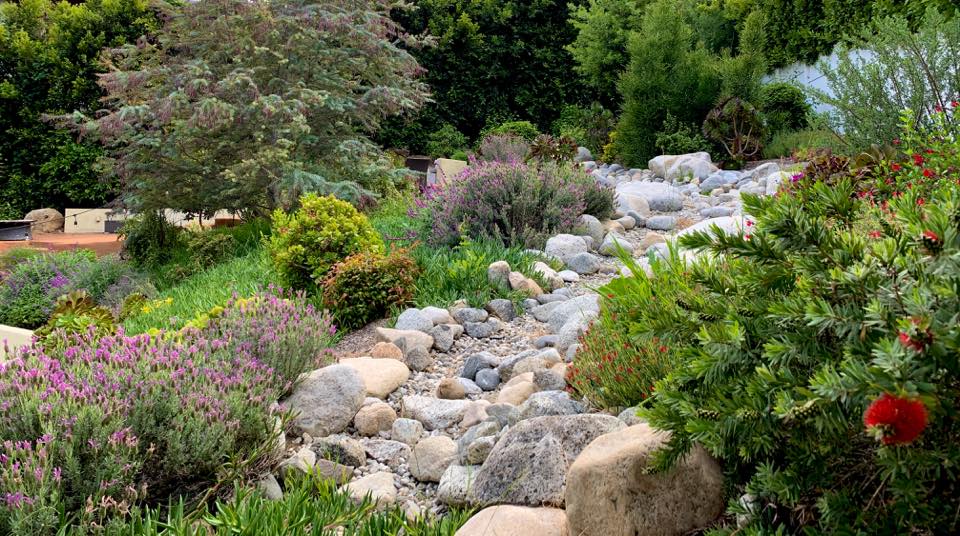Gallery image - work by Artscape Gardens in Los Angeles, CA
