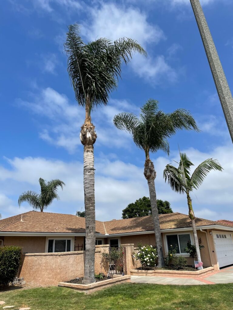 Gallery image - work by OC Pro Scape Anaheim - Landscaping Services & Sprinkler Installation in Anaheim, CA