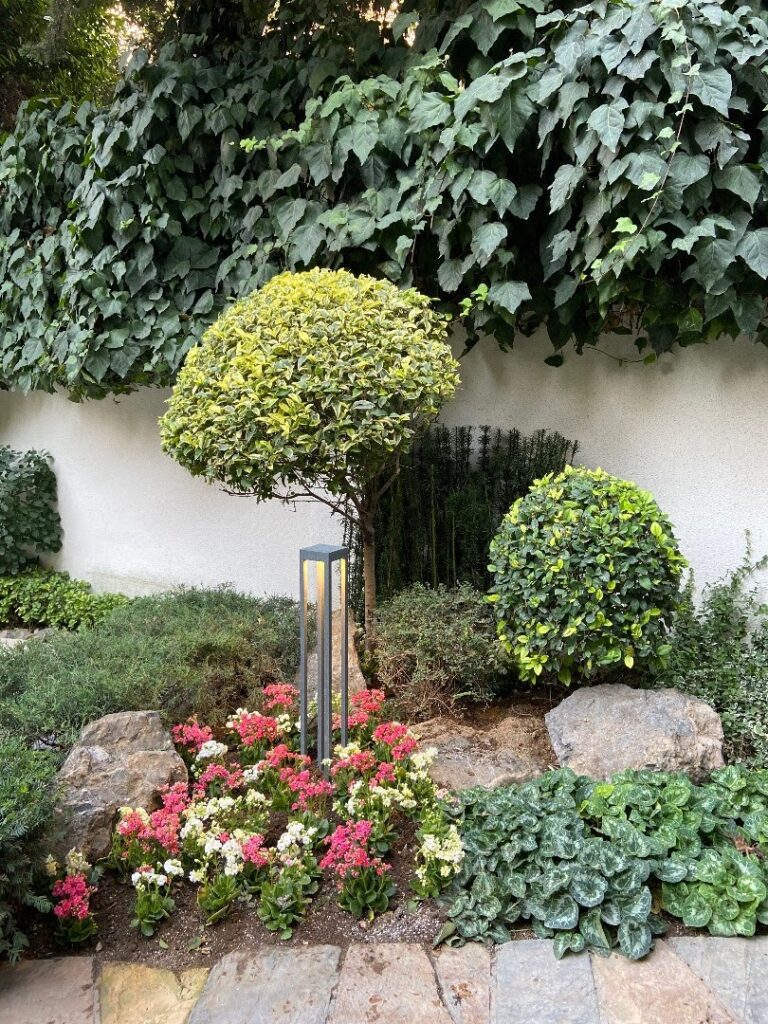 Gallery image - work by HB Landscape Design LLC in Los Angeles, CA