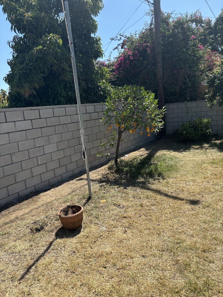 Gallery image - work by Luna Landscape Co in Hacienda Heights, CA