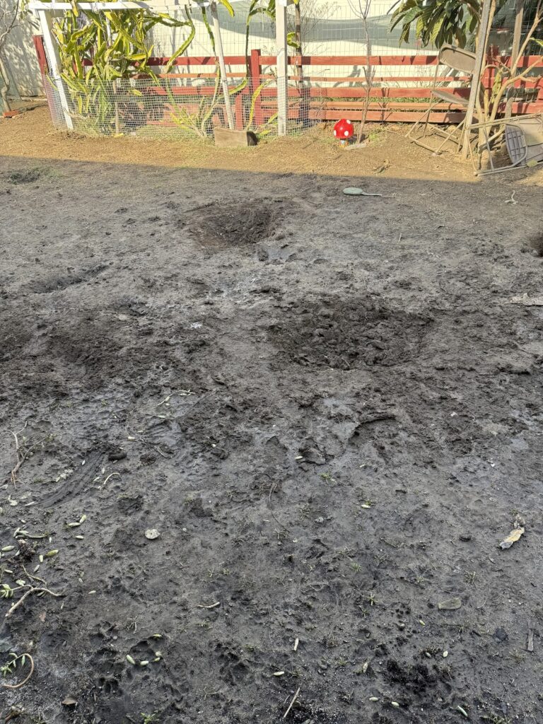 Gallery image - work by Luna Landscape Co in Hacienda Heights, CA