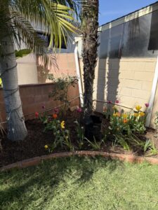 Work by Luna Landscape Co