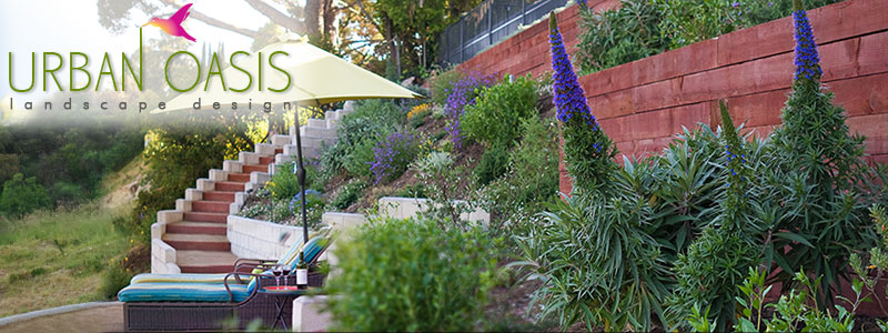 Gallery image - work by Urban Oasis Landscape Design in Los Angeles, CA
