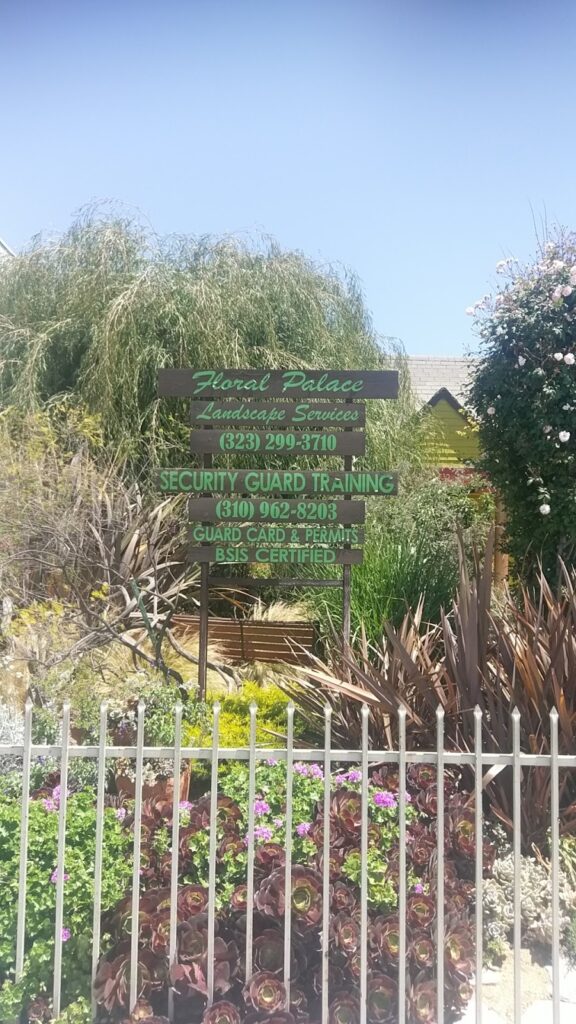 Gallery image - work by Floral Palace Landscape Design in Los Angeles, CA