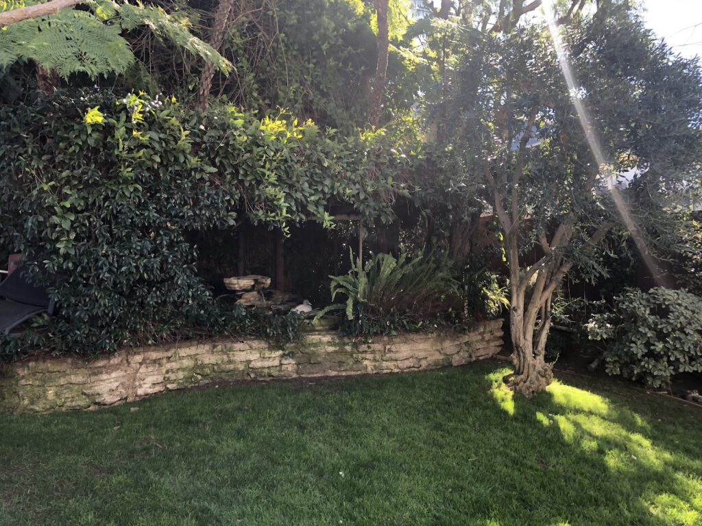 Gallery image - work by Gonzalez & Sons Gardening and Landscaping Services in Los Angeles, CA