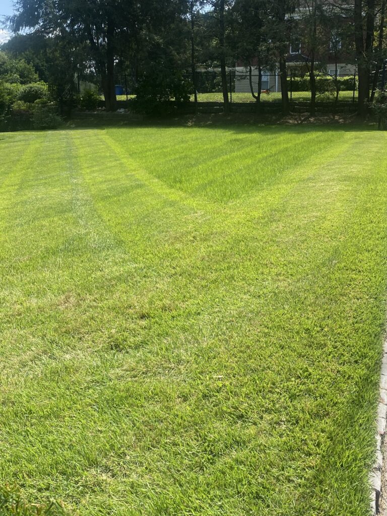 Gallery image - work by Green MC Landscaping LLC in Providence, RI