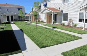 Work by Early Bird's Landscaping