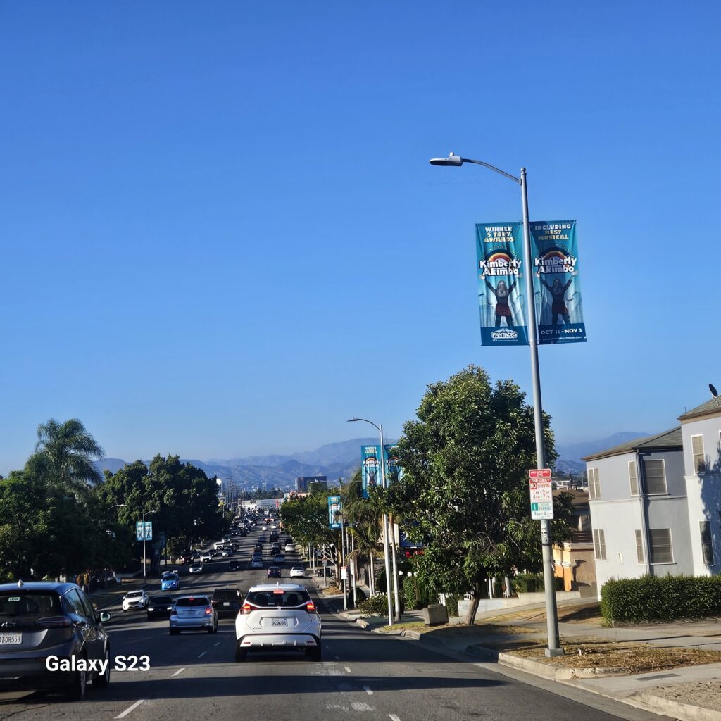 Gallery image - work by Supergreen Landscape in Los Angeles, CA