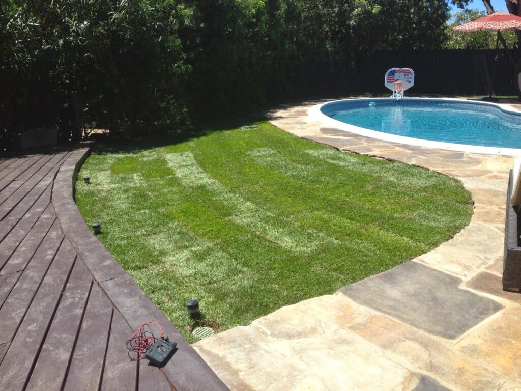 Gallery image - work by Supergreen Landscape in Los Angeles, CA