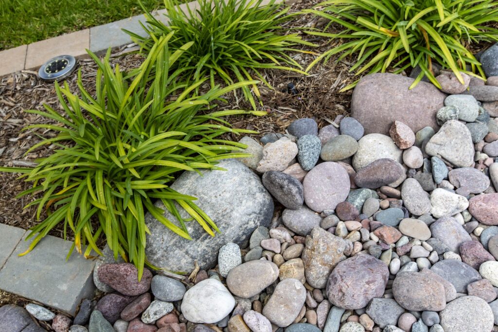 Gallery image - work by ARC Design Landscape in Santee, CA