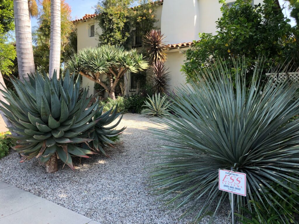 Gallery image - work by Sergio Contreras Landscape Inc. in Los Angeles, CA