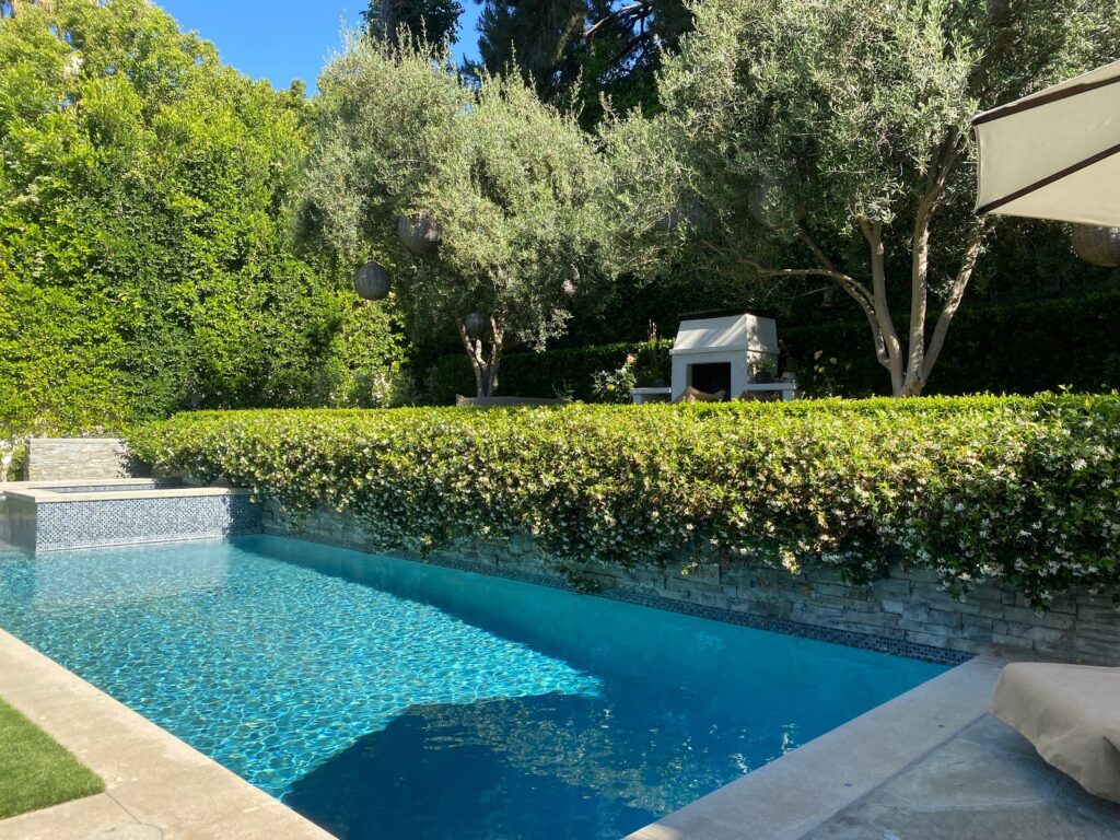 Gallery image - work by Sergio Contreras Landscape Inc. in Los Angeles, CA