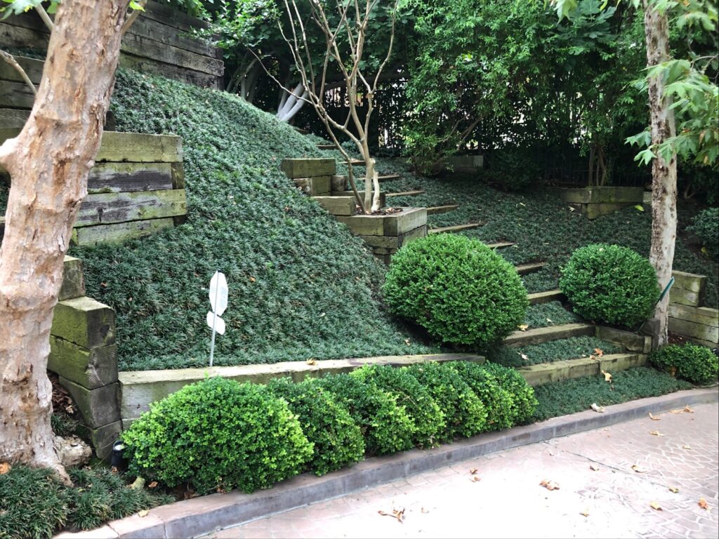 Gallery image - work by Sergio Contreras Landscape Inc. in Los Angeles, CA