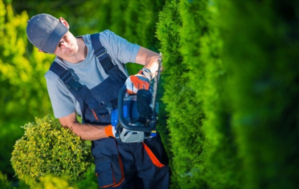 Gallery image - work by San Diego Landscaping & Synthetic Turf in San Diego, CA