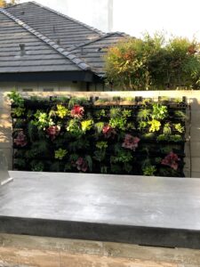 Work by Lesaca Landscape Company, Inc.