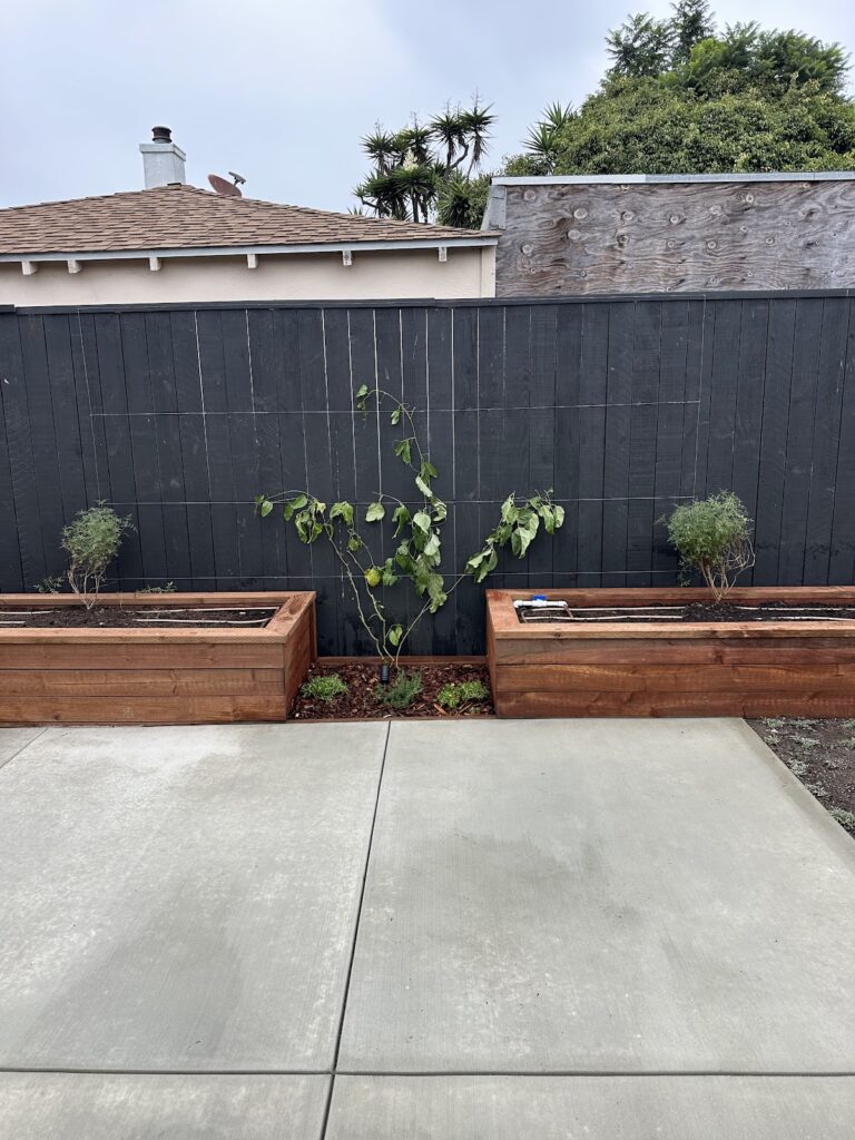 Gallery image - work by RainforestLA, Inc. in Los Angeles, CA