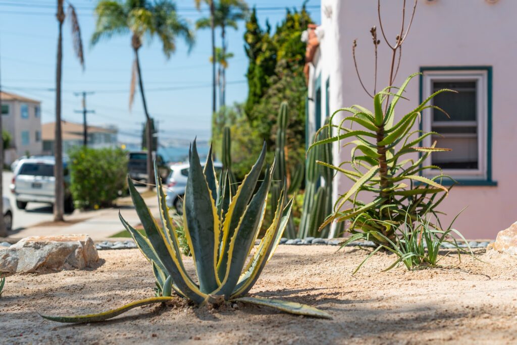 Gallery image - work by Terra Group Landscape in San Diego, CA