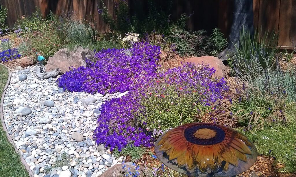 Gallery image - work by General Landscaping Service in San Jose, CA