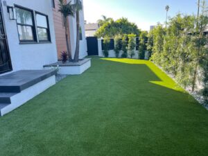 Work by San Diego Landscape Solutions