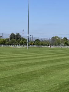 Work by Southern California Landscape