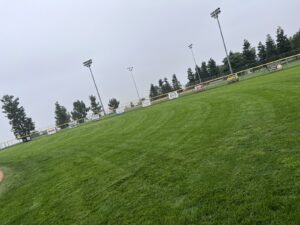 Work by Southern California Landscape