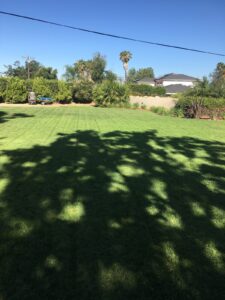 Work by Southern California Landscape