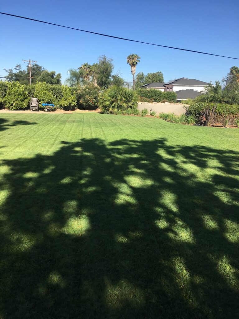 Gallery image - work by Southern California Landscape in Rancho Cucamonga, CA