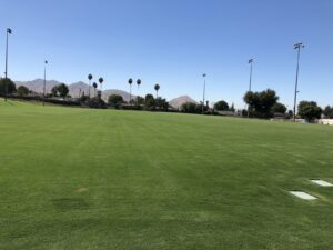 Work by Southern California Landscape