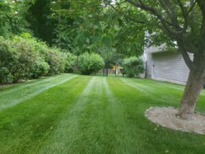 Work by Arciga's & Sons Landscaping Llc