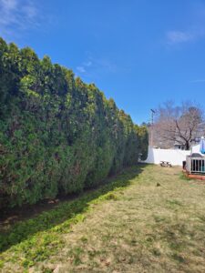 Work by Arciga's & Sons Landscaping Llc