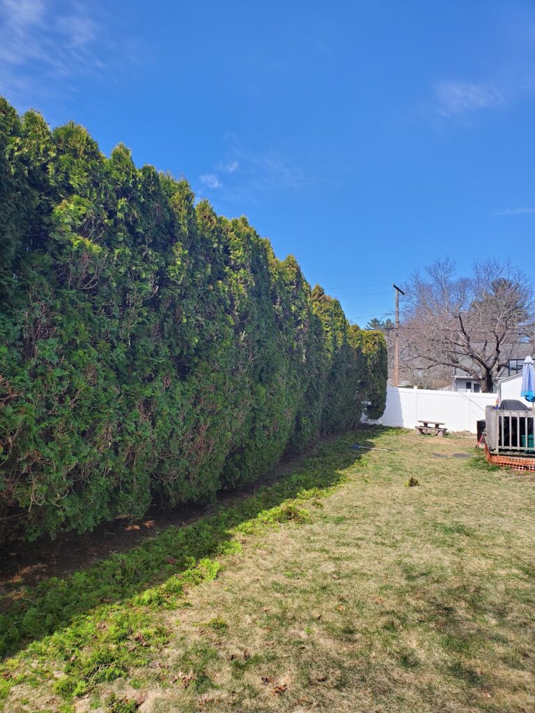 Gallery image - work by Arciga's & Sons Landscaping Llc in Providence, RI