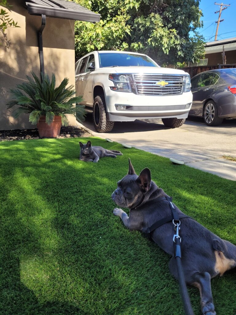 Gallery image - work by paramount landscaping in San Jose, CA