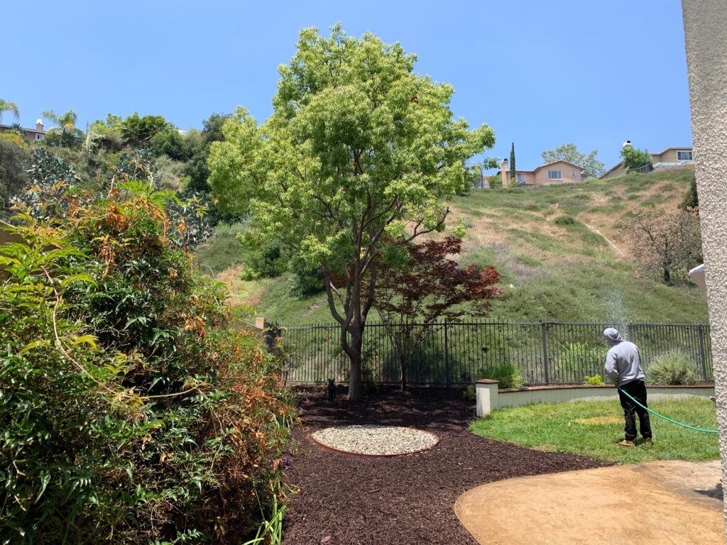 Gallery image - work by Diaz Landscaping Services in Los Angeles, CA