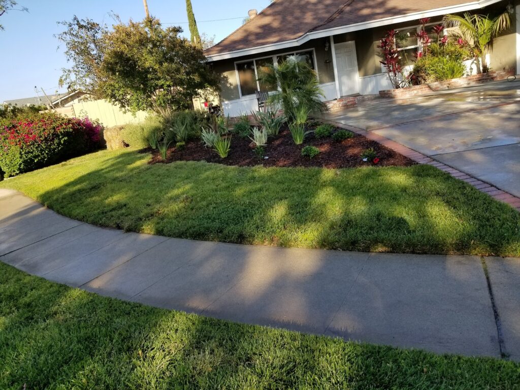 Gallery image - work by Cruz Landscape in Los Angeles, CA