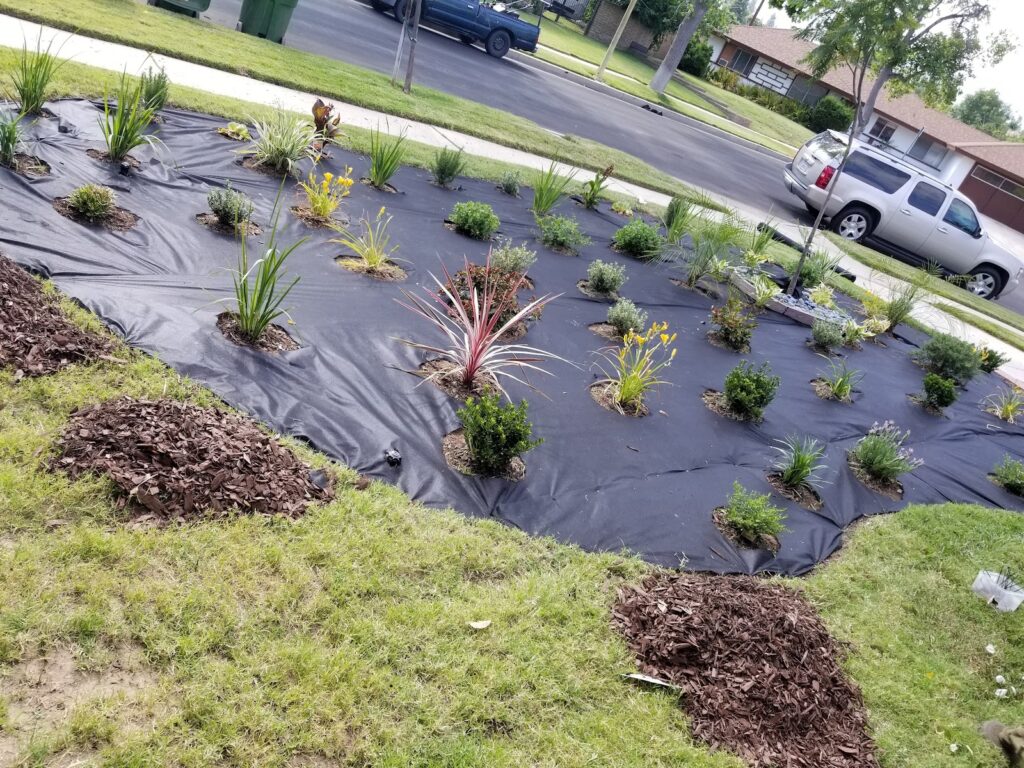 Gallery image - work by Cruz Landscape in Los Angeles, CA