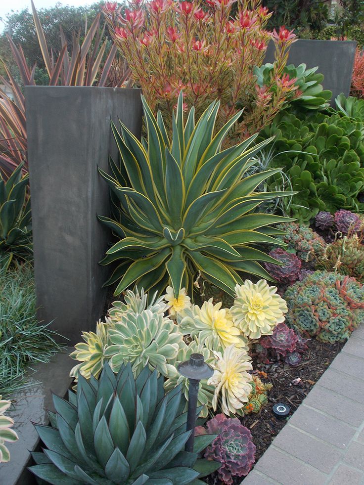 Gallery image - work by Cal Oasis Design Associates in Riverside, CA