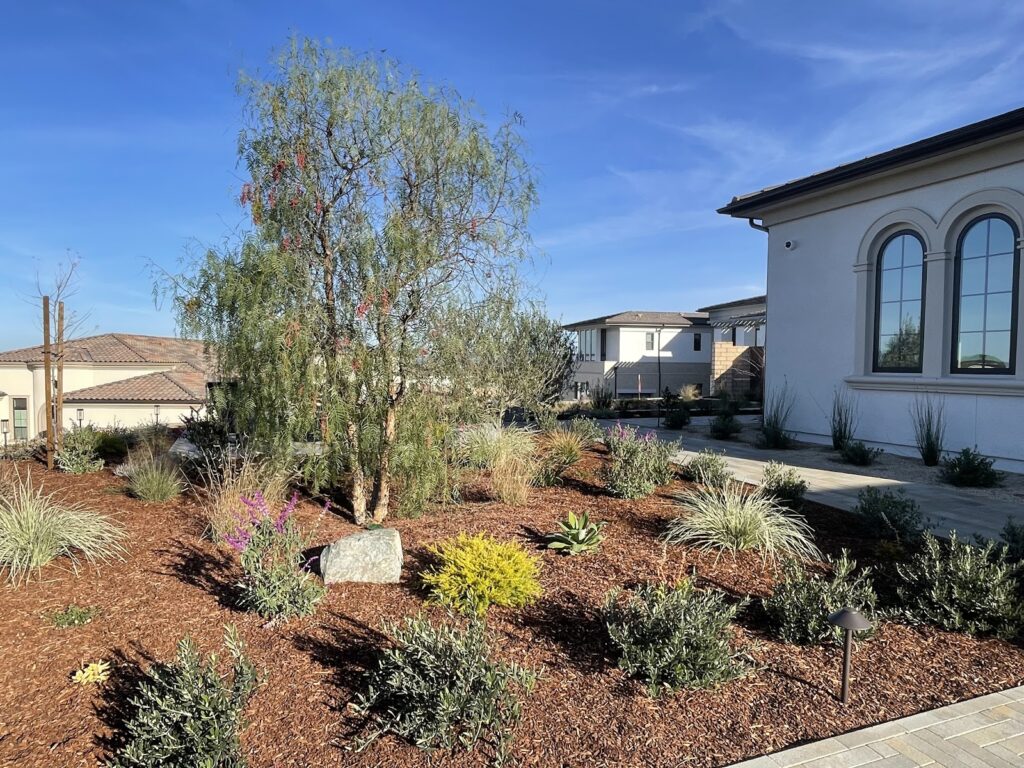 Gallery image - work by California Smartscape in Poway, CA