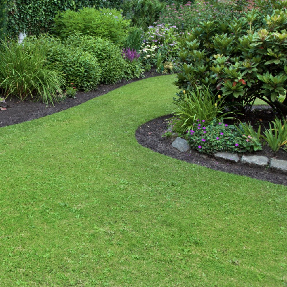 Gallery image - work by Alberto's Gardening in Los Angeles, CA
