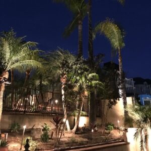 Work by DM Landscape and Maintenance