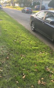 Work by Andrew's Landscaping LLC