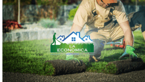 Work by Landscaping La Economica LLC