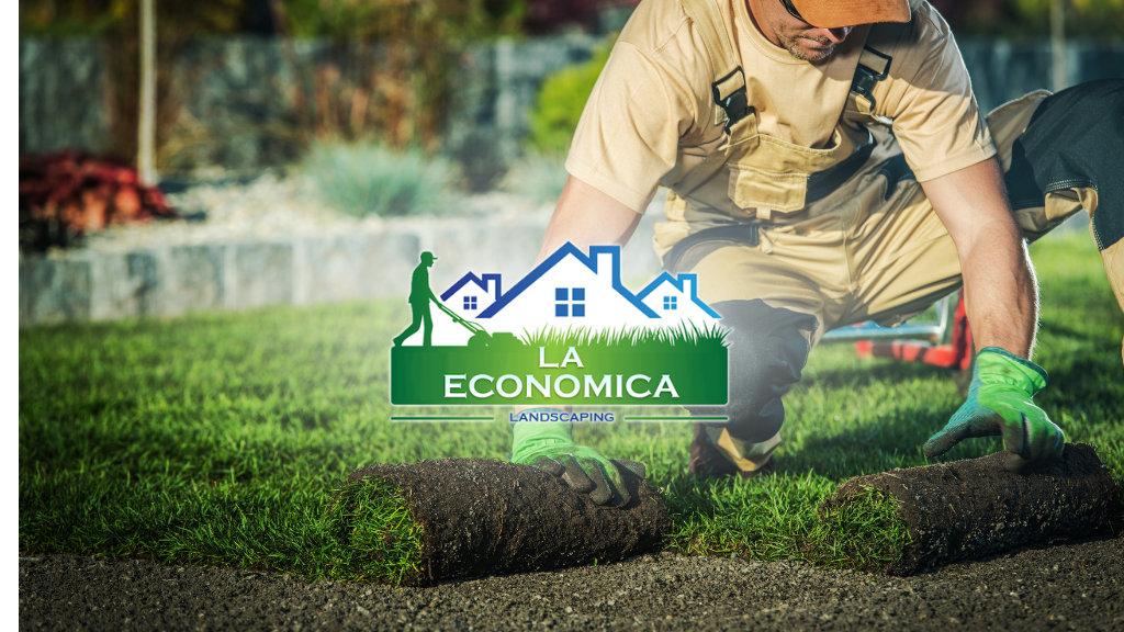 Gallery image - work by Landscaping La Economica LLC in Richmond, CA