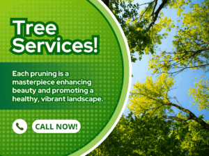 Work by Landscaping La Economica LLC