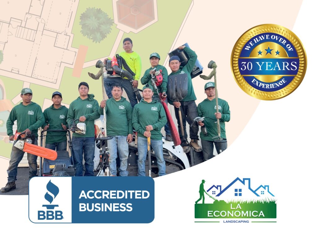 Gallery image - work by Landscaping La Economica LLC in Richmond, CA