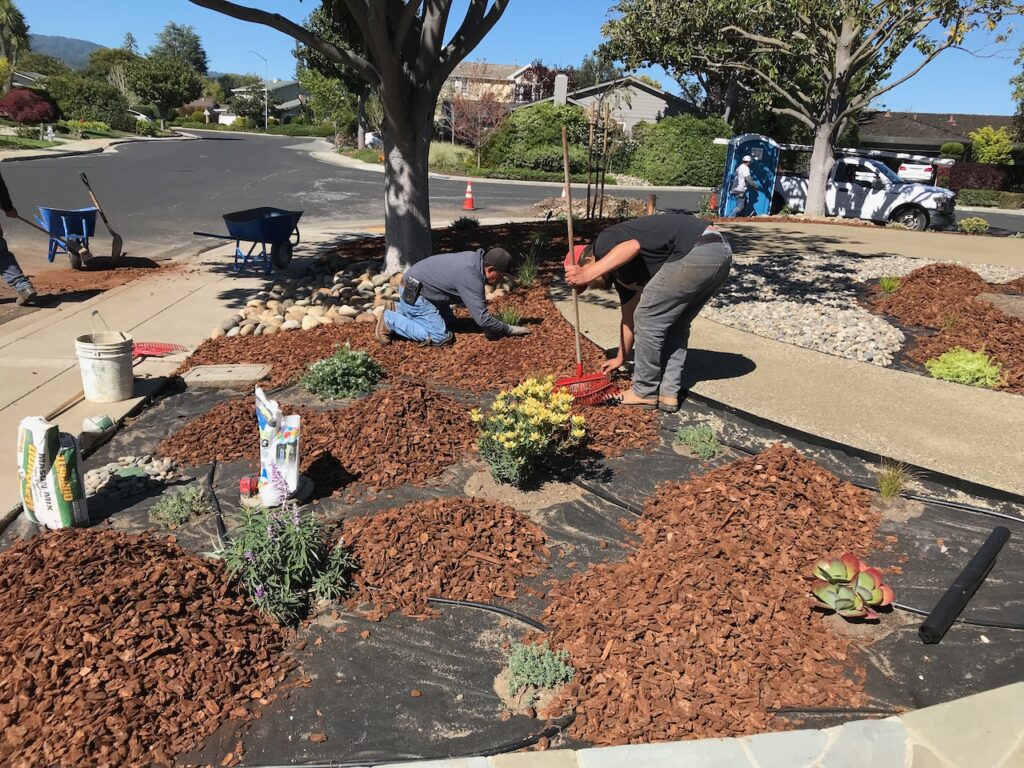 Gallery image - work by Southbay Design & Landscaping in San Jose, CA