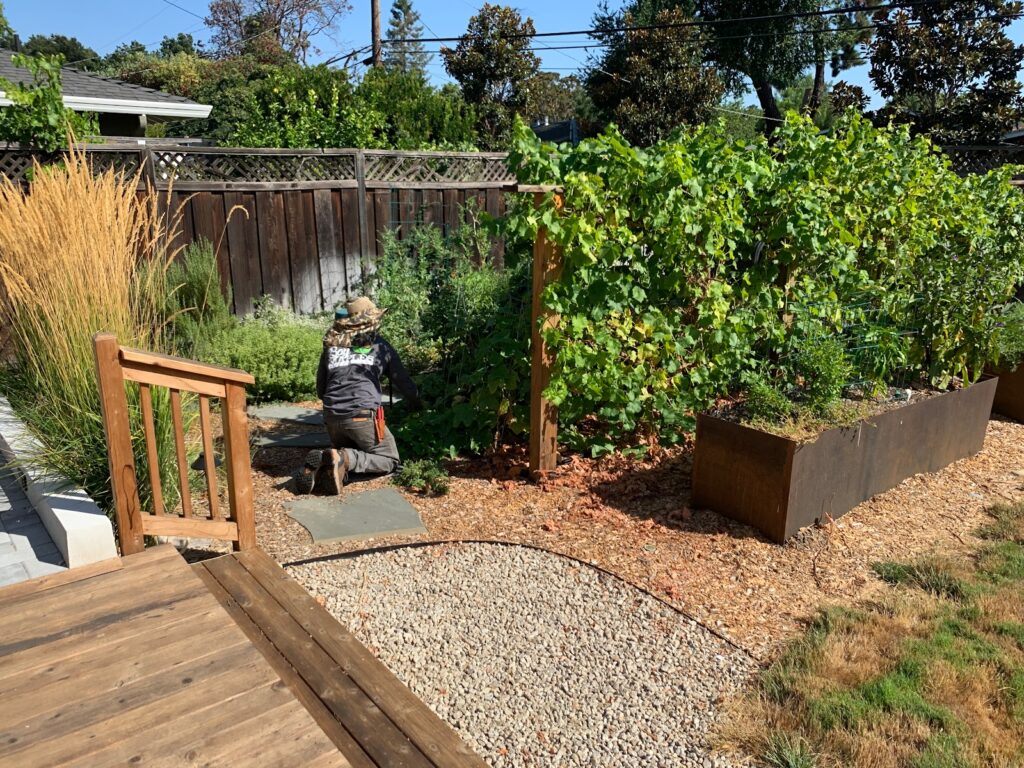 Gallery image - work by Bay Maples in San Jose, CA