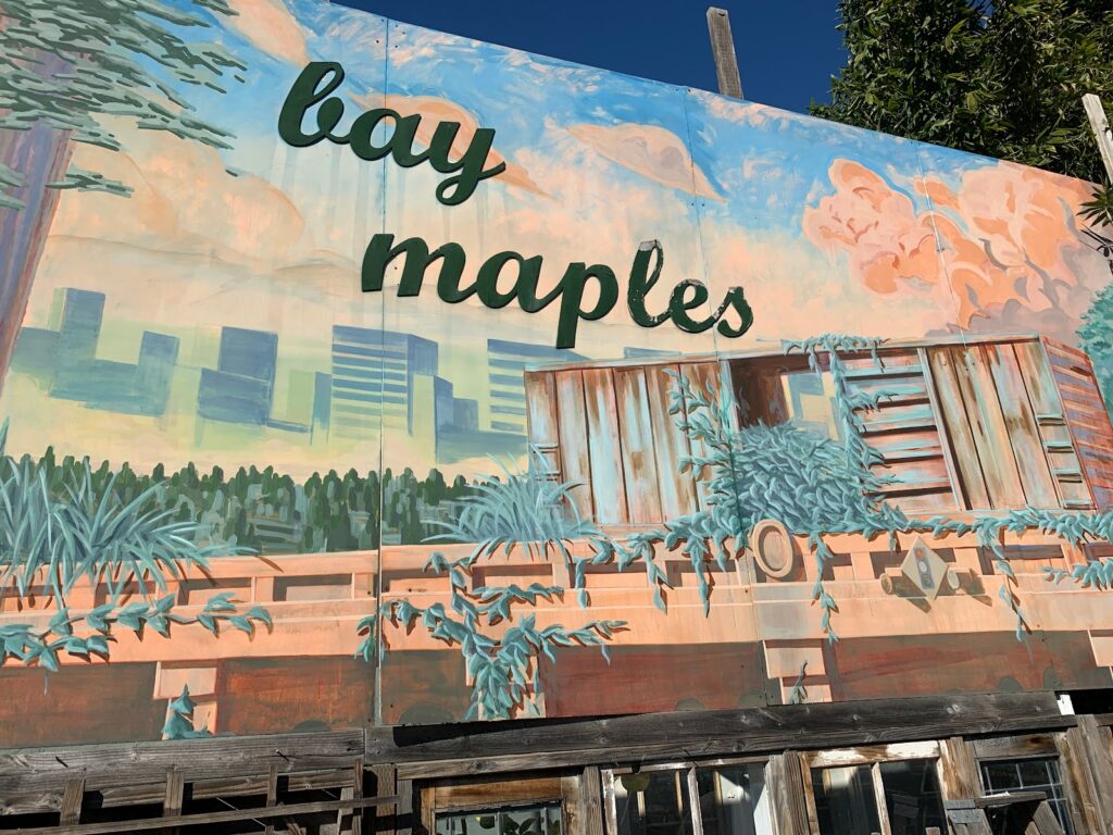 Gallery image - work by Bay Maples in San Jose, CA