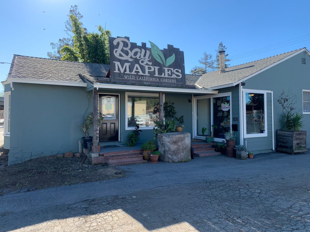 Gallery image - work by Bay Maples in San Jose, CA